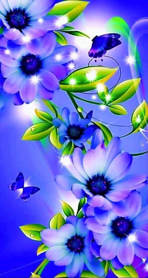 gipjazes flower pictures. 26.jpeg